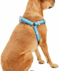 Frisco Outdoor Two Tone Waterproof Stinkproof PVC Dog Harness 10 Frisco Outdoor Two Tone Waterproof Stinkproof PVC Dog Harness -The Frisco Store 256565 PT3. SY630 V1625164653