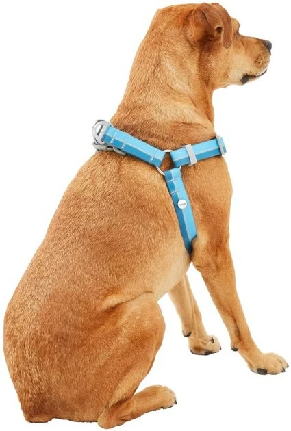 Frisco Outdoor Two Tone Waterproof Stinkproof PVC Dog Harness 6 Frisco Outdoor Two Tone Waterproof Stinkproof PVC Dog Harness - Image 4