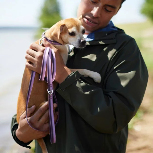 Frisco Outdoor Two Toned Waterproof Stink Proof PVC Dog Leash 5 Frisco Outdoor Two Toned Waterproof Stink Proof PVC Dog Leash - Image 3