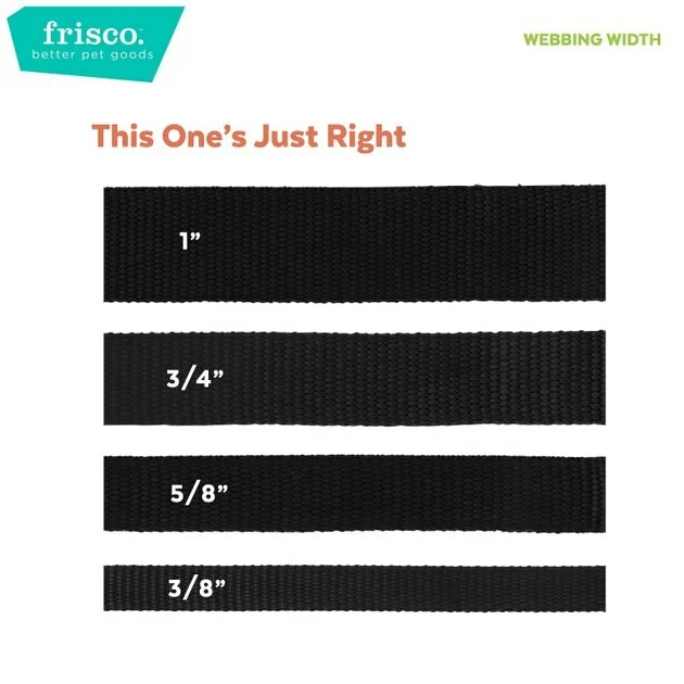 Frisco Outdoor Two Toned Waterproof Stink Proof PVC Dog Leash 7 Frisco Outdoor Two Toned Waterproof Stink Proof PVC Dog Leash - Image 5