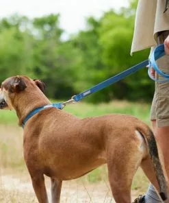 Frisco Outdoor Heathered Nylon Leash -The Frisco Store 256647 PT5. SY630 V1625588443