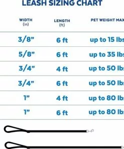 Frisco Outdoor Nylon Reflective Comfort Padded Dog Leash -The Frisco Store 256678 PT6. SY630 V1630006958