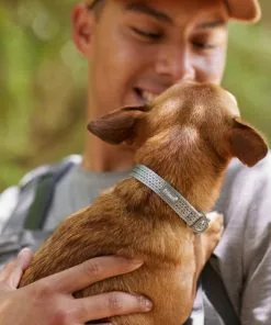 Frisco Outdoor Ultra Reflective Nylon Dog Collar -The Frisco Store 256693 PT5. SY630 V1625588475