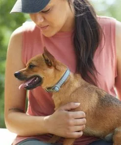 Frisco Outdoor Comfort Print Nylon Padded Dog Collar 10 Frisco Outdoor Comfort Print Nylon Padded Dog Collar -The Frisco Store 256713 PT5. SY630 V1625587063