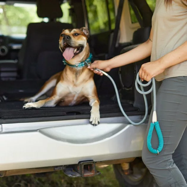 Frisco Outdoor Ultra Reflective Rope Leash with Padded Handle 7 Frisco Outdoor Ultra Reflective Rope Leash with Padded Handle - Image 5