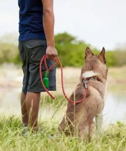 Frisco Outdoor Waterproof Stinkproof PVC Rope Leash 9 Frisco Outdoor Waterproof Stinkproof PVC Rope Leash -The Frisco Store 256760 PT5. SY630 V1625587621