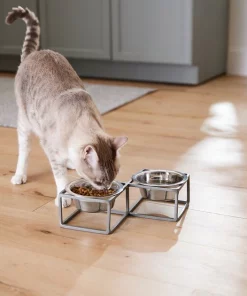 Frisco Diamond Dog & Cat Double Bowl Diner 14 Frisco Diamond Dog & Cat Double Bowl Diner -The Frisco Store 257147 PT5. SY630 V1615989105