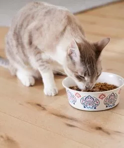 Frisco Bohemian Dog & Cat Bowl -The Frisco Store 257195 PT7. SY630 V1615989147