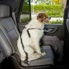 Frisco Adjustable Dog Seatbelt Tether 1 Frisco Adjustable Dog Seatbelt Tether -The Frisco Store 258355 MAIN. SY630 V1620498437