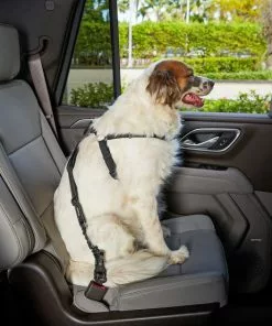 Frisco Adjustable Dog Seatbelt Tether