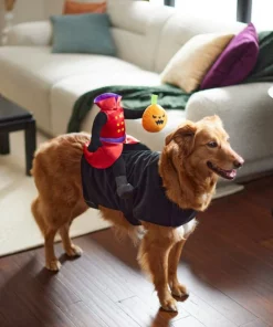 Frisco Headless Rider Dog & Cat Costume -The Frisco Store 260910 PT8. SY630 V1624461040