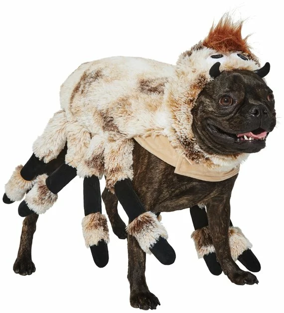 Frisco Spider Dog & Cat Costume 3 Frisco Spider Dog & Cat Costume
