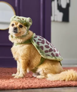 Frisco Sea Turtle Dog & Cat Costume -The Frisco Store 260948 PT8. SY630 V1624336656