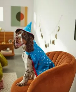 Frisco Wizard Dog & Cat Costume -The Frisco Store 260962 PT8. SY630 V1624335469