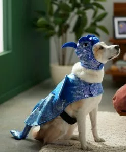 Frisco Dragon Dog & Cat Costume -The Frisco Store 260973 PT8. SY630 V1624341507