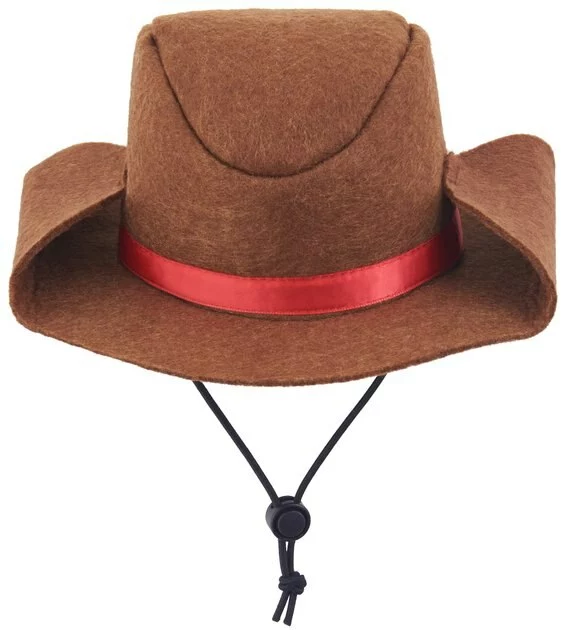 Frisco Front Walking Country Singer Dog & Cat Costume 10 Frisco Front Walking Country Singer Dog & Cat Costume - Image 8