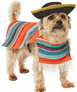 Frisco Serape Dog & Cat Costume