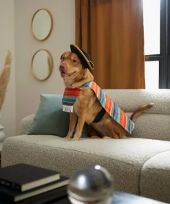 Frisco Serape Dog & Cat Costume -The Frisco Store 261041 PT8. SY630 V1624339394
