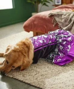 Frisco Midnight Witch Dog & Cat Costume -The Frisco Store 261058 PT8. SY630 V1624400298