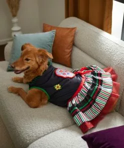 Frisco Day of the Dead Dog & Cat Costume Dress 11 Frisco Day of the Dead Dog & Cat Costume Dress -The Frisco Store 261076 PT8. SY630 V1624335820