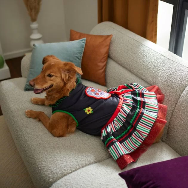 Frisco Day of the Dead Dog & Cat Costume Dress 7 Frisco Day of the Dead Dog & Cat Costume Dress - Image 5