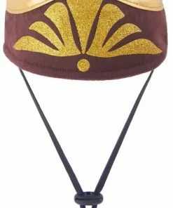 Frisco Front Walking Warrior Dog & Cat Costume -The Frisco Store 261086 PT7. SY630 V1624401576