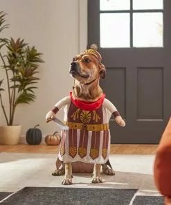 Frisco Front Walking Warrior Dog & Cat Costume -The Frisco Store 261086 PT8. SY630 V1624402357