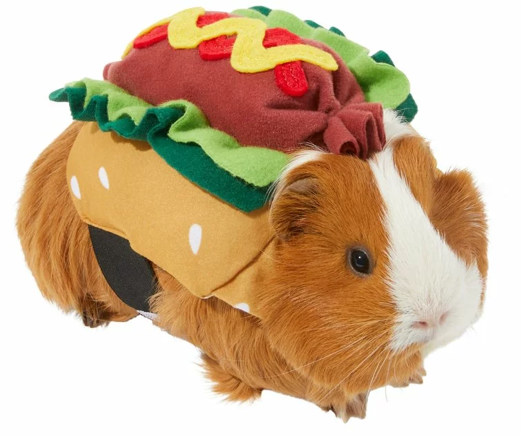 Frisco Hotdog Guinea Pig Costume, One Size 2 Frisco Hotdog Guinea Pig Costume, One Size