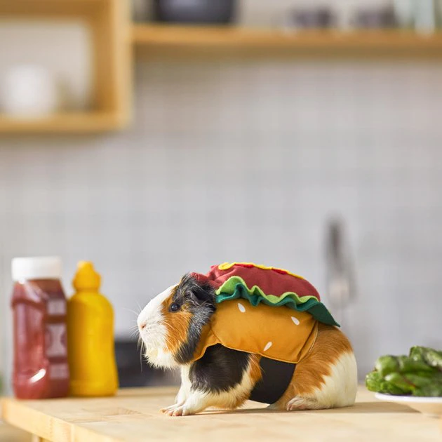 Frisco Hotdog Guinea Pig Costume, One Size 6 Frisco Hotdog Guinea Pig Costume, One Size - Image 5