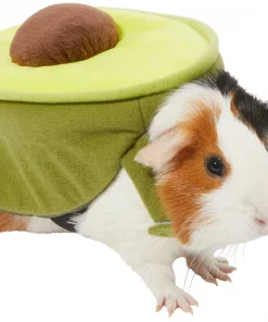 Frisco Avocado Guinea Pig Costume, One Size