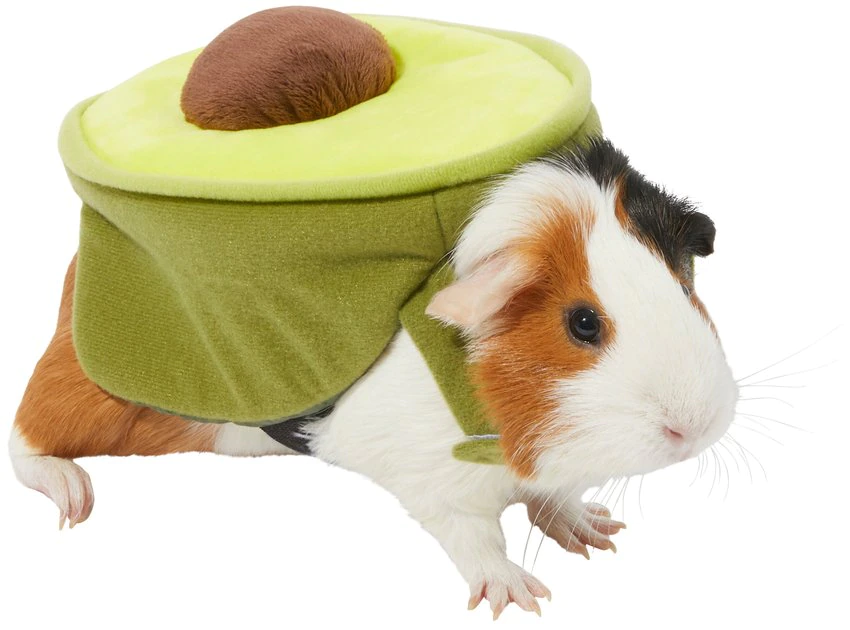 Frisco Avocado Guinea Pig Costume, One Size 3 Frisco Avocado Guinea Pig Costume, One Size