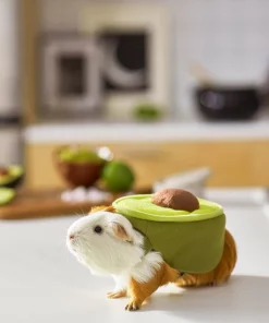 Frisco Avocado Guinea Pig Costume, One Size 11 Frisco Avocado Guinea Pig Costume, One Size -The Frisco Store 261095 PT8. SY630 V1624454728