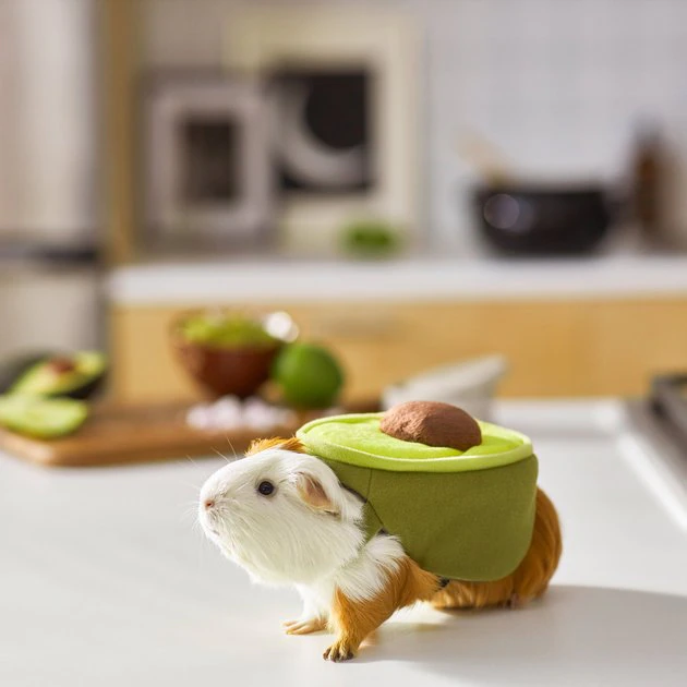 Frisco Avocado Guinea Pig Costume, One Size 7 Frisco Avocado Guinea Pig Costume, One Size - Image 5