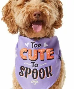 Frisco Too Cute to Spook Dog & Cat Bandana