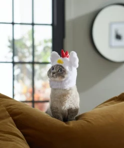 Frisco Chicken Cat Costume, One Size -The Frisco Store 261102 PT8. SY630 V1624307866