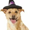 Frisco Midnight Witch Dog & Cat Hat -The Frisco Store 261106 MAIN. SY630 V1631810796