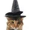 Frisco Cobweb Witch Dog & Cat Hat 2 Frisco Cobweb Witch Dog & Cat Hat -The Frisco Store 261109 MAIN. SY630 V1625075886