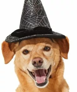 Frisco Cobweb Witch Dog & Cat Hat -The Frisco Store 261109 PT2. SY630 V1625076831