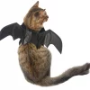 Frisco Bat Wings Dog & Cat Costume -The Frisco Store 261113 MAIN. SY630 V1625076458