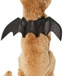 Frisco Bat Wings Dog & Cat Costume 10 Frisco Bat Wings Dog & Cat Costume -The Frisco Store 261113 PT2. SY630 V1625077070