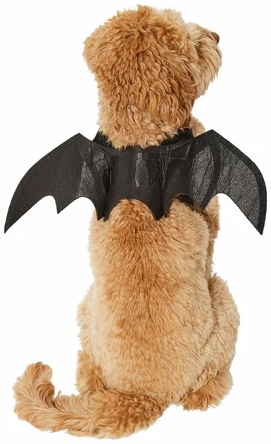 Frisco Bat Wings Dog & Cat Costume 5 Frisco Bat Wings Dog & Cat Costume - Image 3