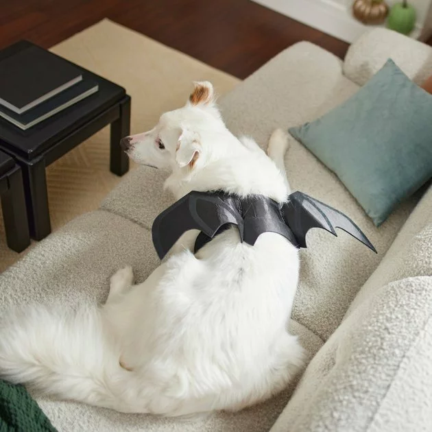Frisco Bat Wings Dog & Cat Costume 8 Frisco Bat Wings Dog & Cat Costume - Image 6