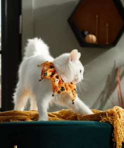 Frisco Whimsical Halloween Cat Collar Ruffle, One Size -The Frisco Store 261120 PT8. SY630 V1624306105