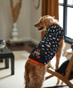 Frisco Glow in the Dark "All Eyes On Me" Dog & Cat Hoodie 17 Frisco Glow in the Dark "All Eyes On Me" Dog & Cat Hoodie -The Frisco Store 261155 PT6. SY630 V1633070502