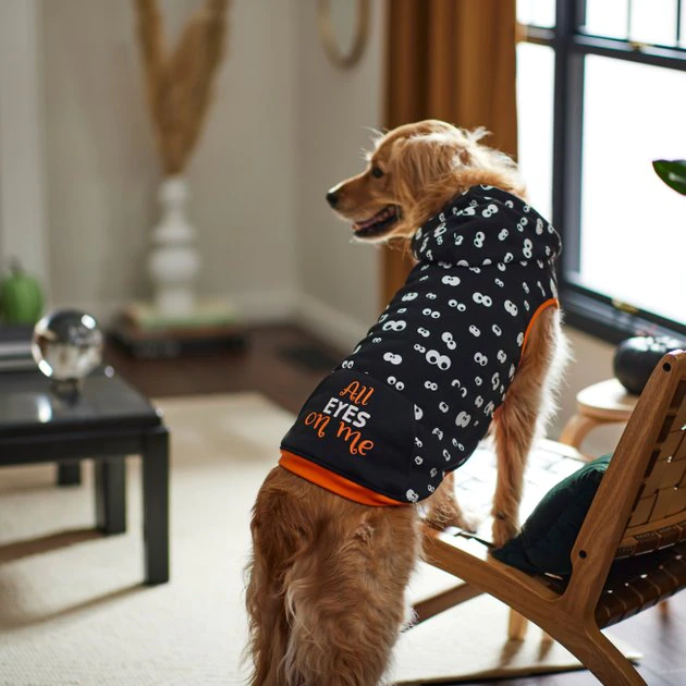 Frisco Glow in the Dark "All Eyes On Me" Dog & Cat Hoodie 11 Frisco Glow in the Dark "All Eyes On Me" Dog & Cat Hoodie - Image 9