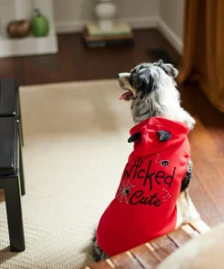 Frisco Wicked Cute Dog & Cat Hoodie -The Frisco Store 261158 PT8. SY630 V1624398178