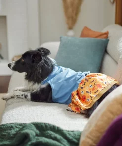 Frisco Chambray Halloween Dog & Cat Dress -The Frisco Store 261165 PT5. SY630 V1633067792