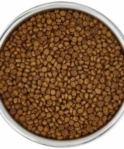 Frisco Insulated Non-Skid Stainless Steel Dog & Cat Bowl, Stainless Steel -The Frisco Store 261756 PT4. SY630 V1623937394