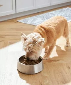 Frisco Insulated Non-Skid Stainless Steel Dog & Cat Bowl, Stainless Steel -The Frisco Store 261756 PT5. SY630 V1623937574