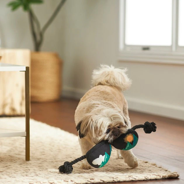 Frisco Road Trip Aviator Sunglasses Plush with Rope Squeaky Dog Toy 5 Frisco Road Trip Aviator Sunglasses Plush with Rope Squeaky Dog Toy - Image 3